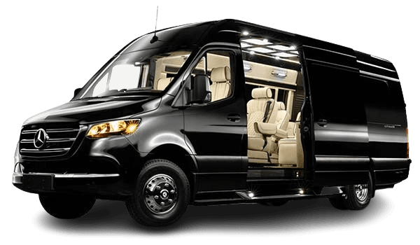 Party Style Sprinter